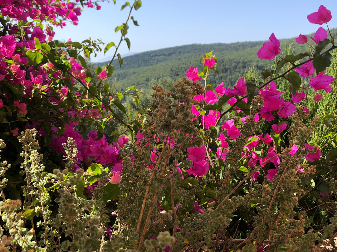 Agnantia Bed & Breakfast主图