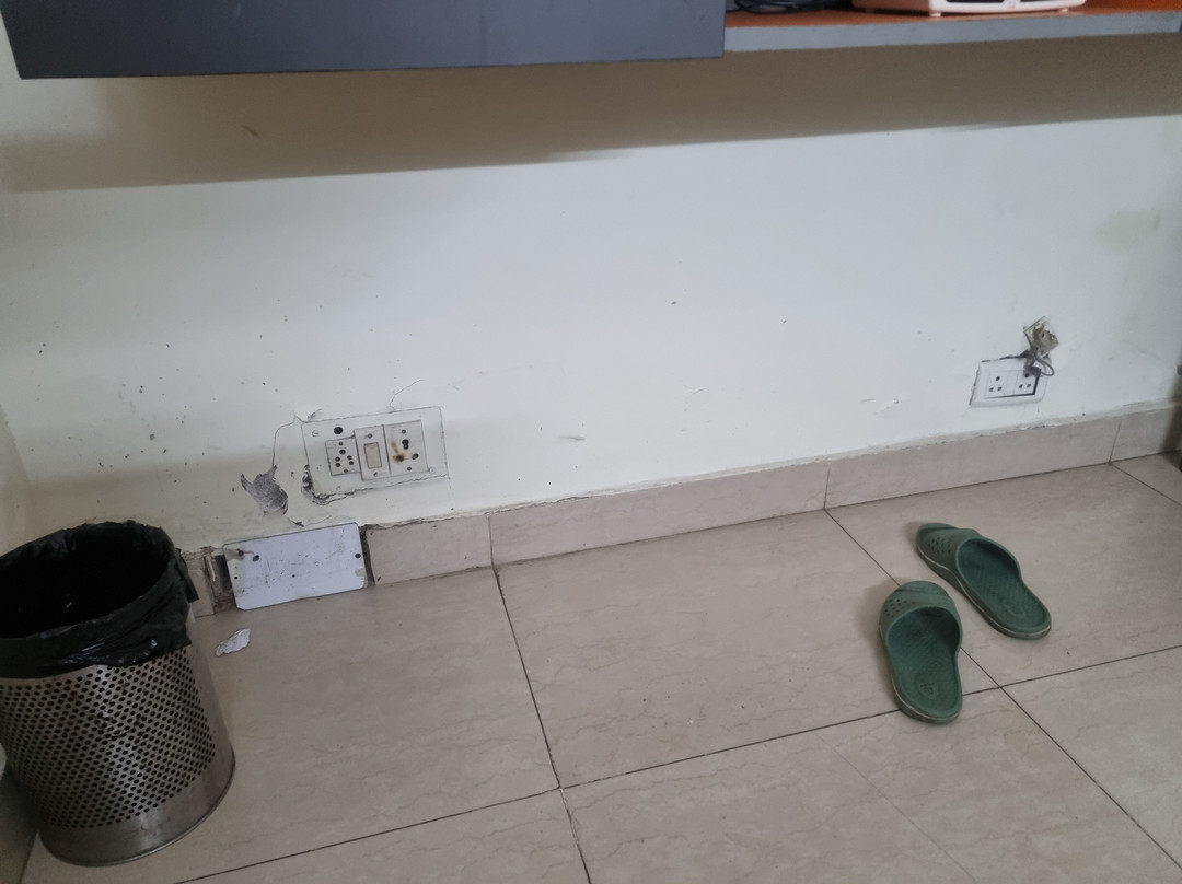 Hotel Batra Palace主图