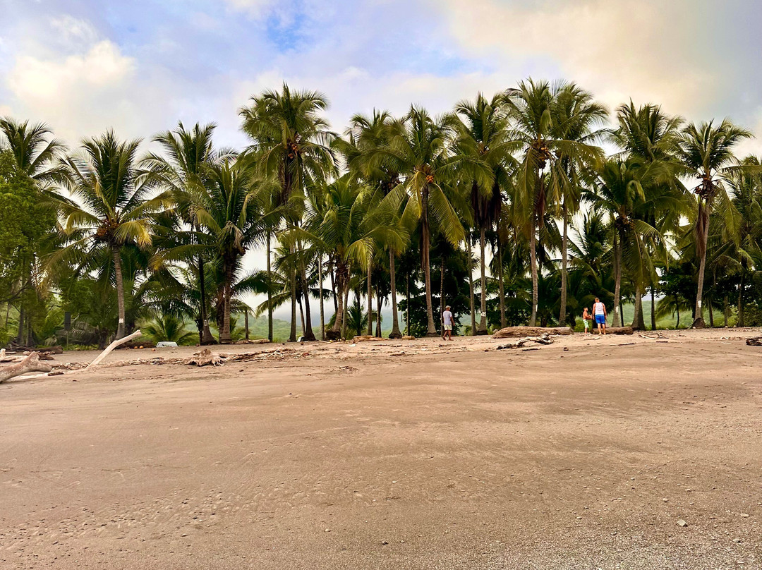 Playa Corozalito-Bejuco必去景点
