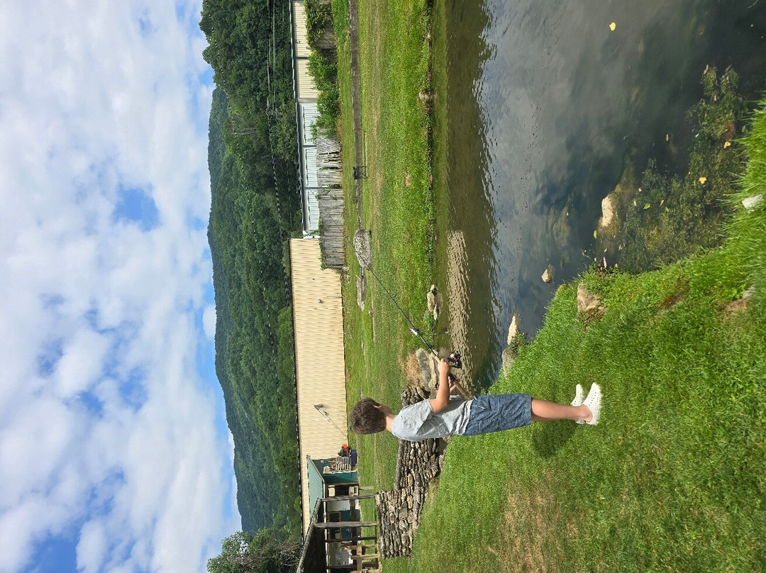Grandfather Trout Farm景点图片