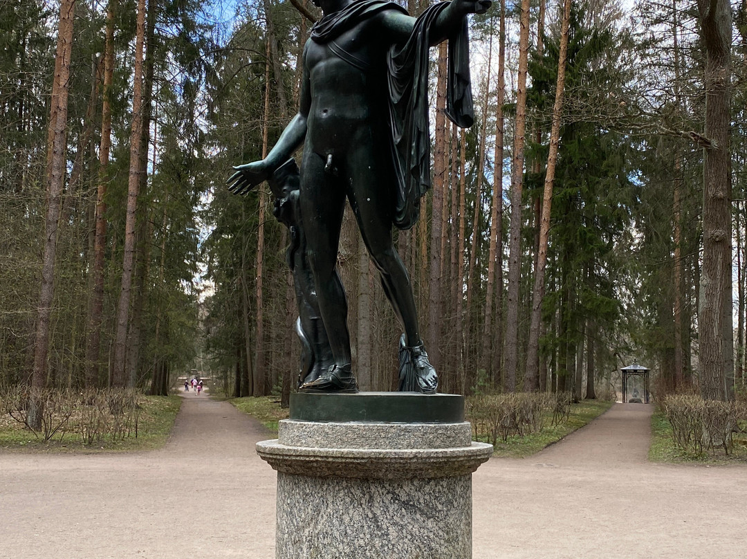 Pavlovsk Park景点图片