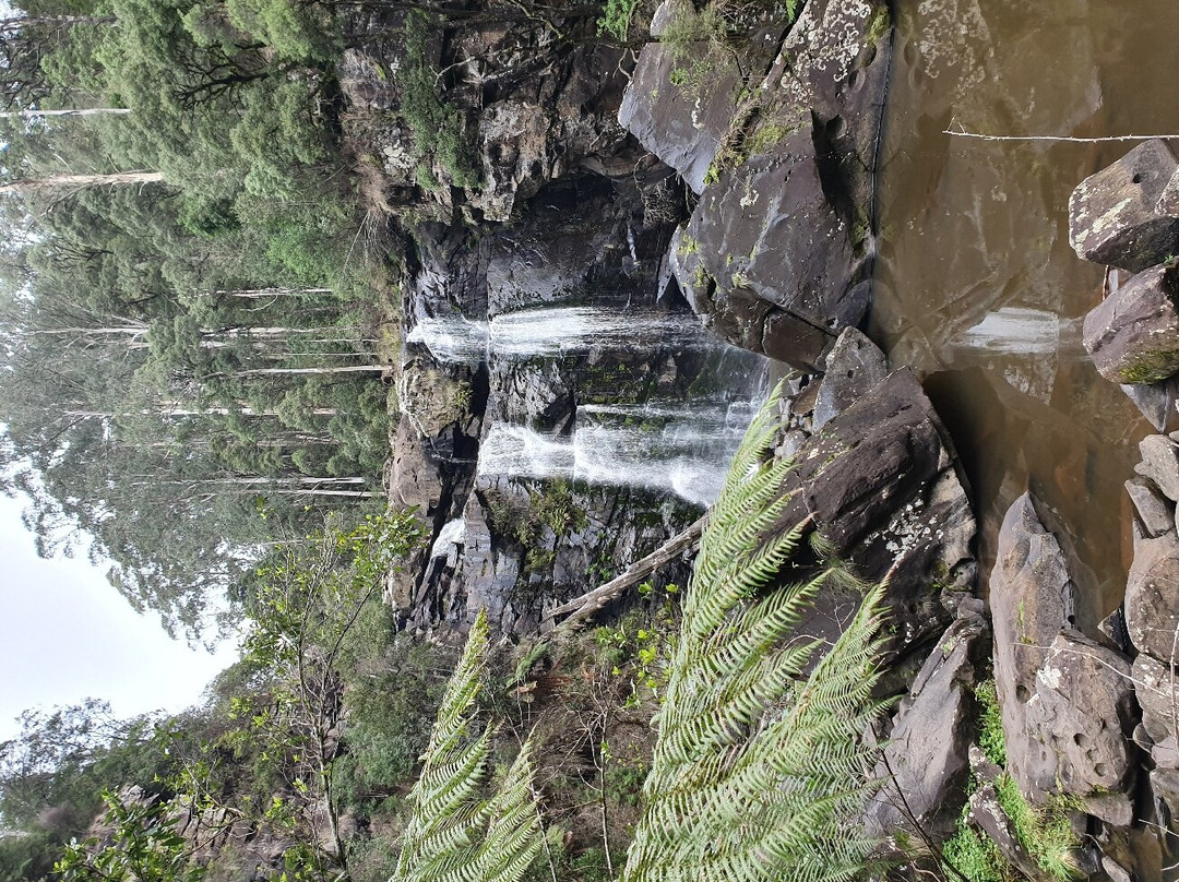 Stevensons Falls景点图片