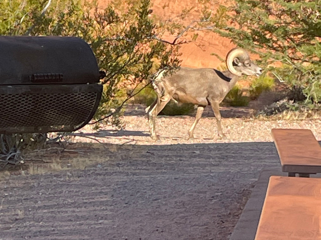 JNS Just Never Stop-拉斯维加斯必去景点