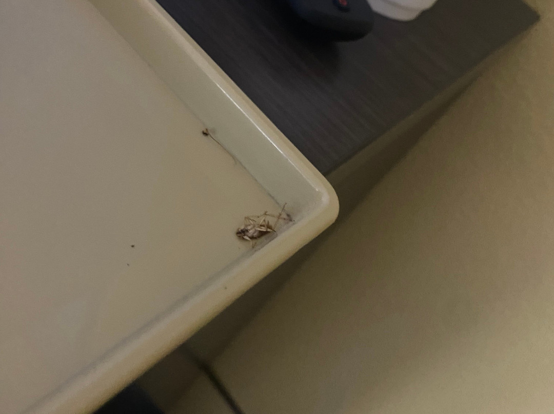 Super 8 by Wyndham Somerset主图