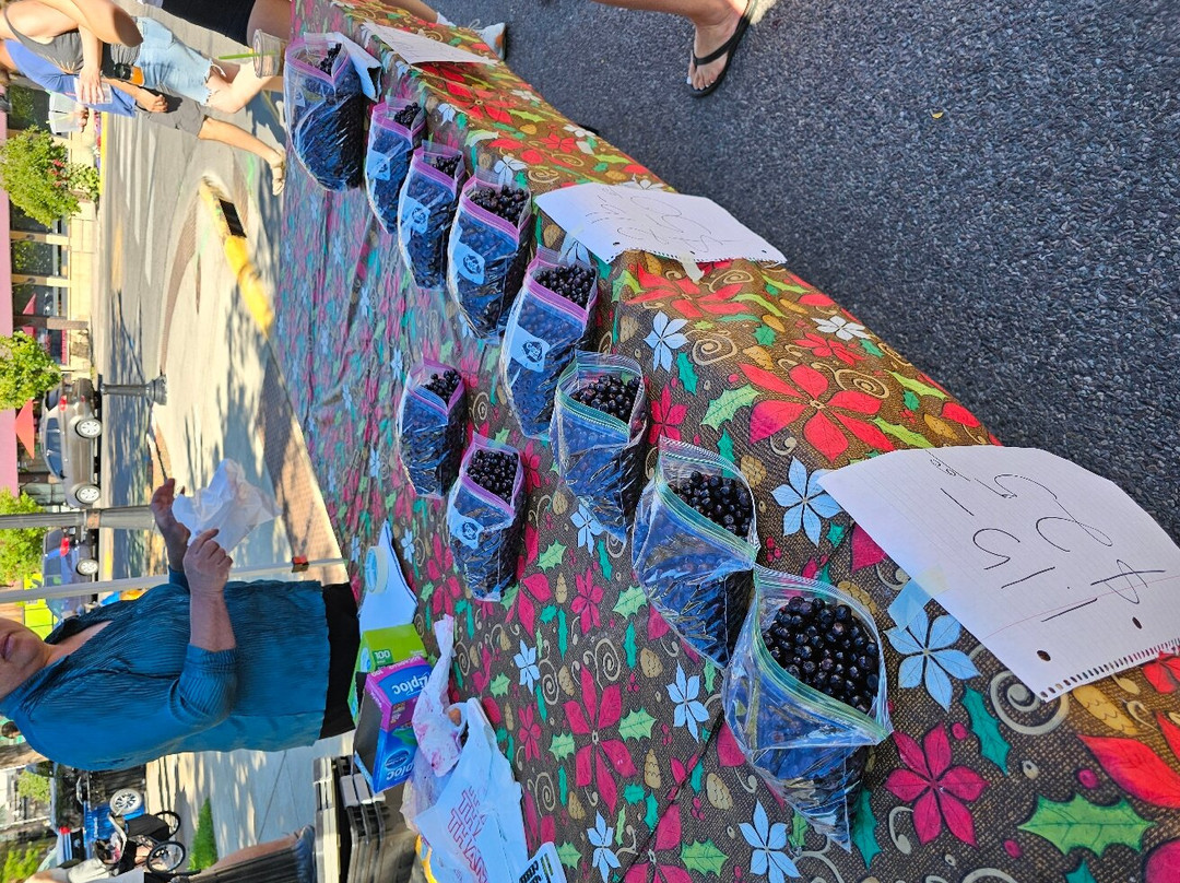 Missoula Farmer's Market-米苏拉必去景点