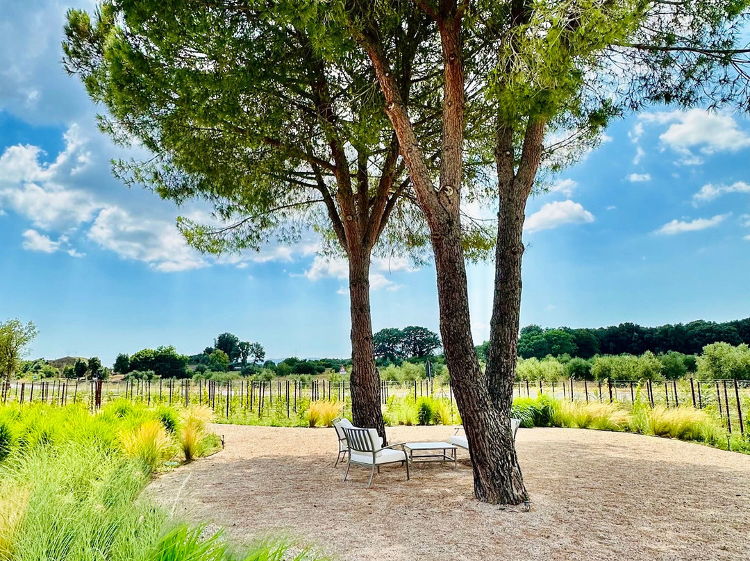 Tenuta il Tesoro, Arillo in Terrabianca景点图片