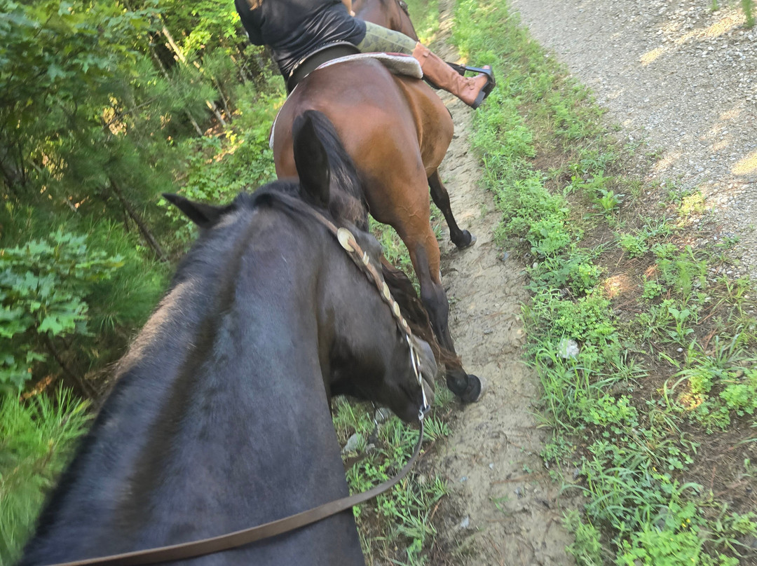 Two River Trails-Providence Forge必去景点