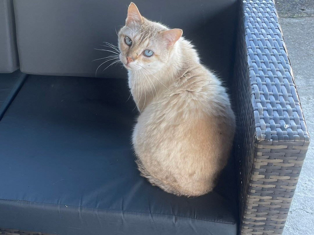 Domaine Les Courteaux主图