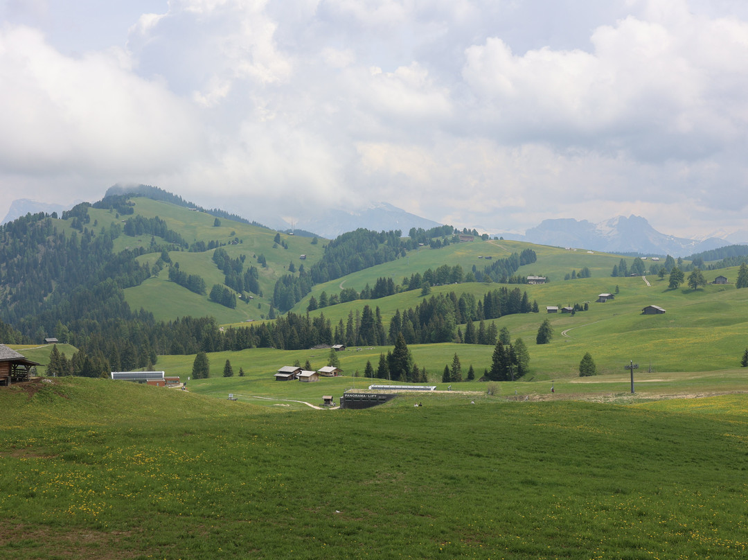 Alpe di Siusi - Seiser Alm Bahn景点图片