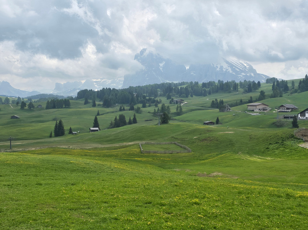 Alpe di Siusi - Seiser Alm Bahn景点图片