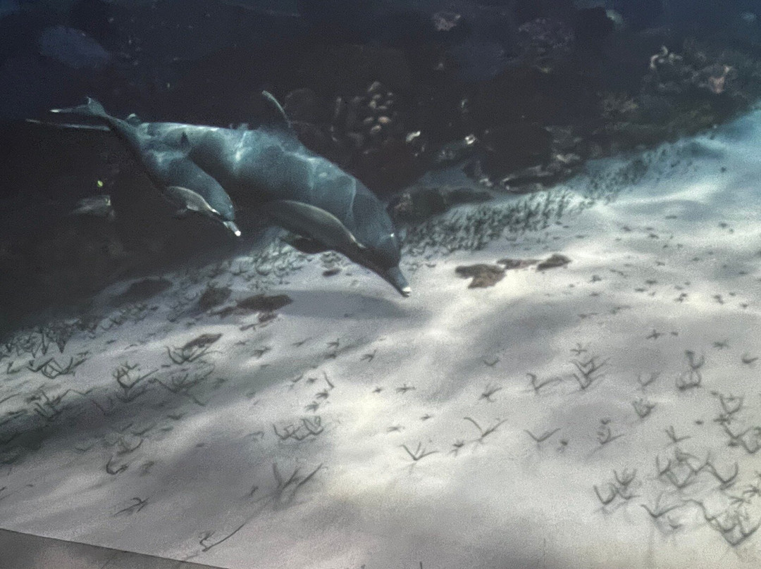 XPERIA: Smoky Mountains-塞维尔维尔必去景点