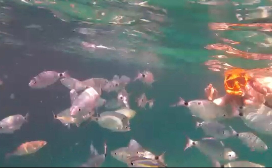 Santa Manza Croisière-博尼法乔必去景点