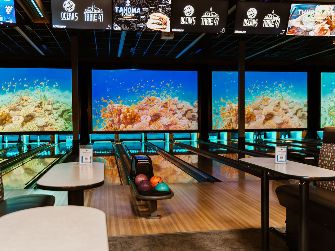 Ocean5-吉格港必去景点