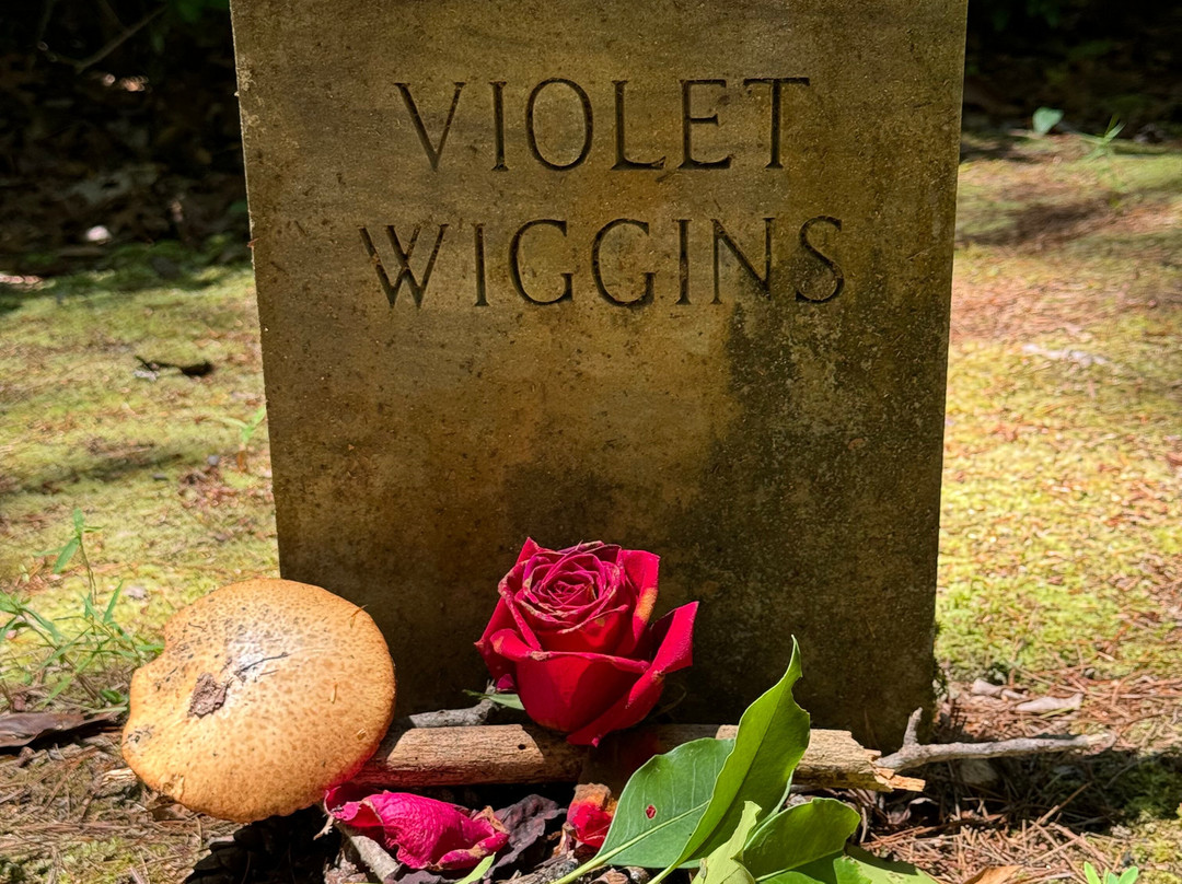 Wiggins Cemetery-大雾山国家公园必去景点