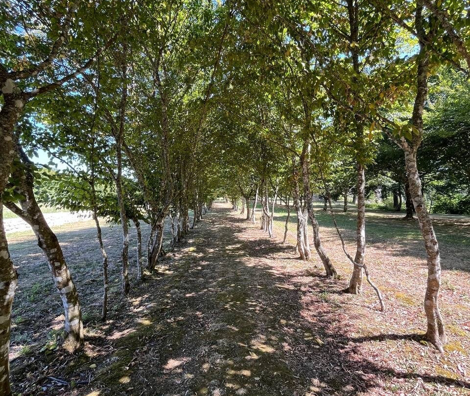 Les Jardins de Sardy景点图片
