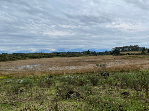 Parque Natural Municipal da Ronda
