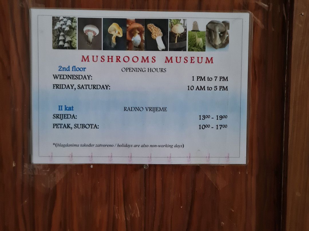 Mushroom Museum-萨格勒布必去景点