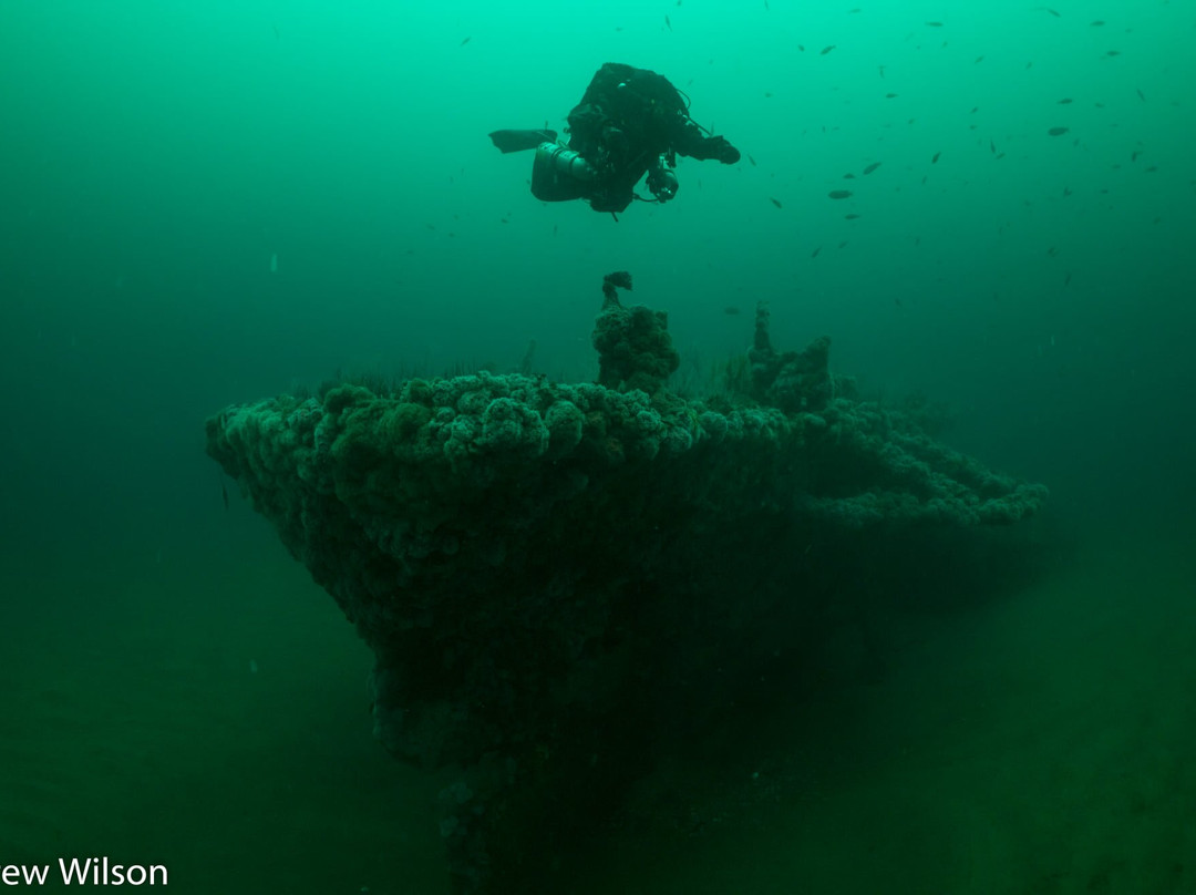 Marissa Dive Charters-圣地亚哥必去景点