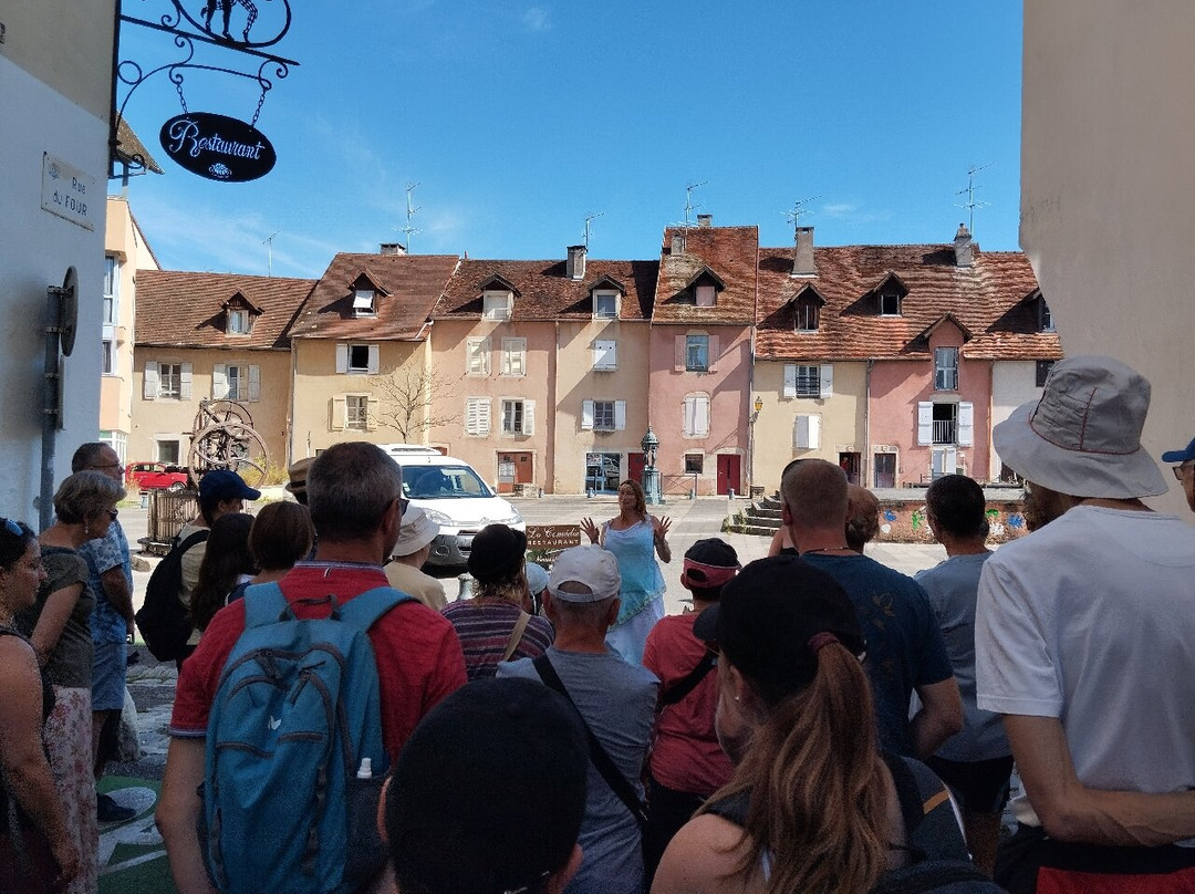 Visites Guidees de Lons-le-Saunier景点图片