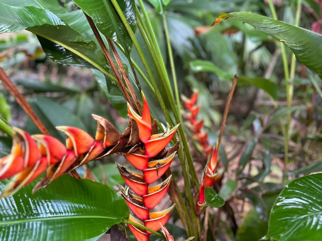 Barranquero Hotel主图