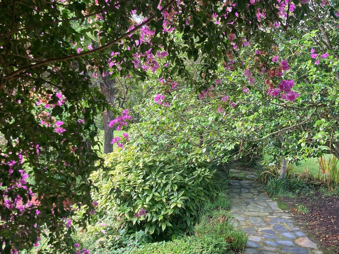 Araucaria House主图