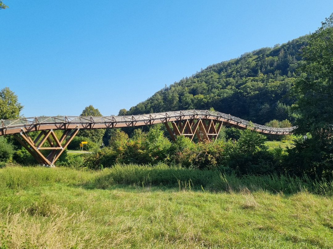Holzbrücke Tatzlwurm景点图片