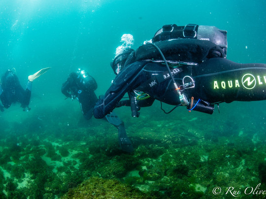 Poseidon Dive Center Portugal-塞新布拉必去景点