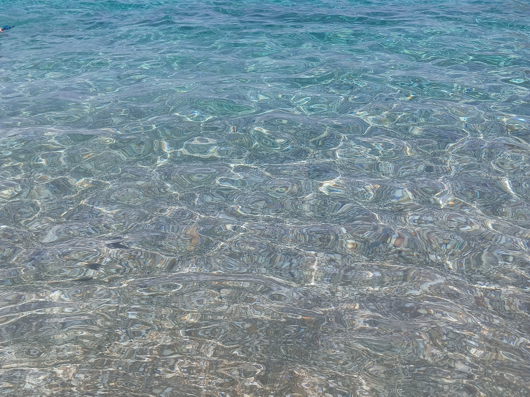 Zorkos Beach-安德罗斯必去景点