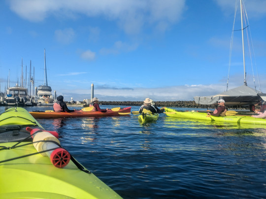 Ballard Kayak & Paddleboard-西雅图必去景点