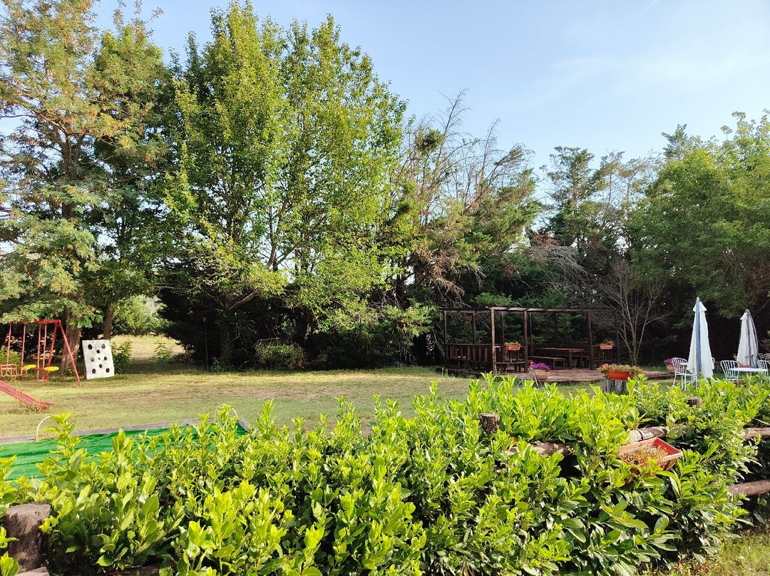 Agriturismo Casa Deimar主图
