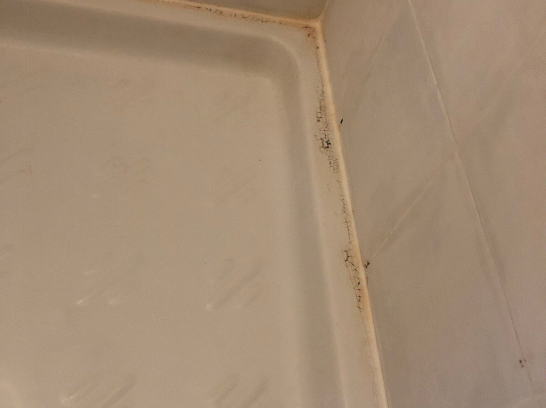 Azienda Agrituristica Seliano主图