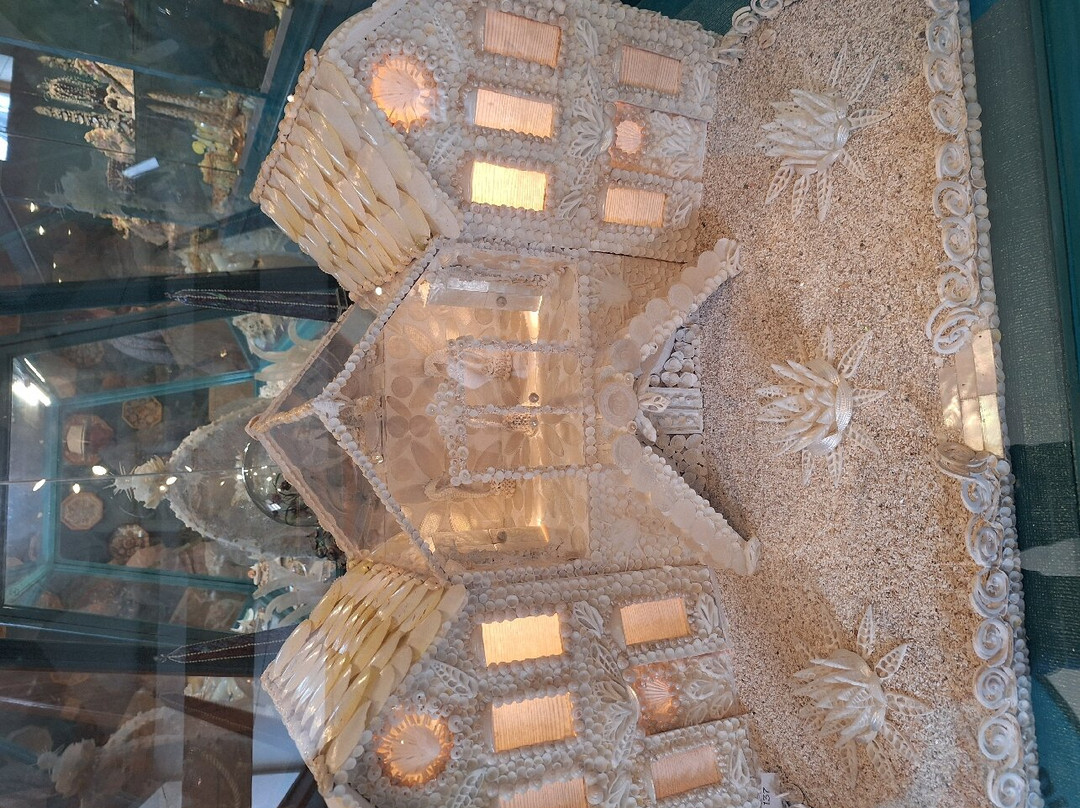 Peter Coke Shell Gallery-Sheringham必去景点