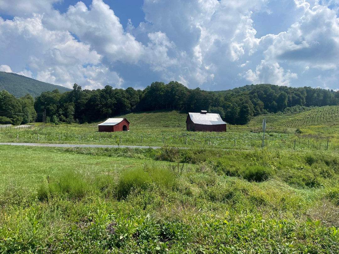 The Bike Station-Damascus必去景点