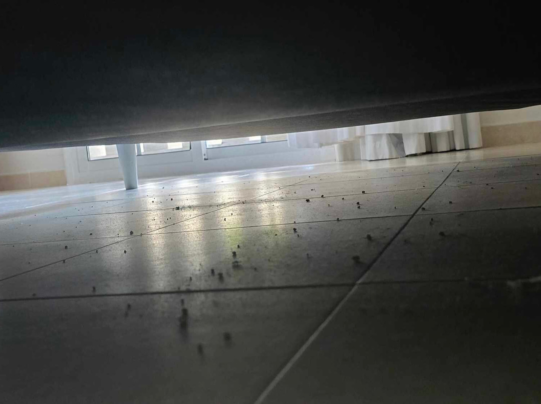 Hotel Serenity Platja D’Aro