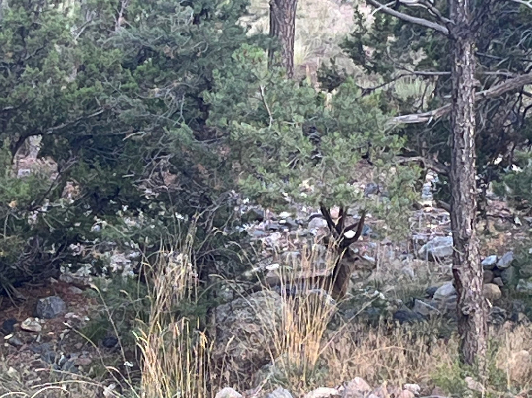 Black Bear RV Park & Resort主图