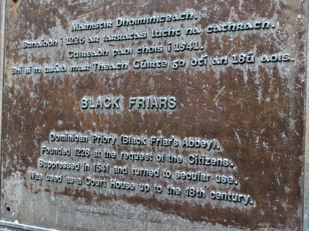 Jack Burtchaell Waterford Walking Tours-沃特福德必去景点