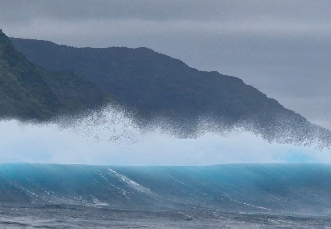 Tahiti Boat Excursion & Surf景点图片