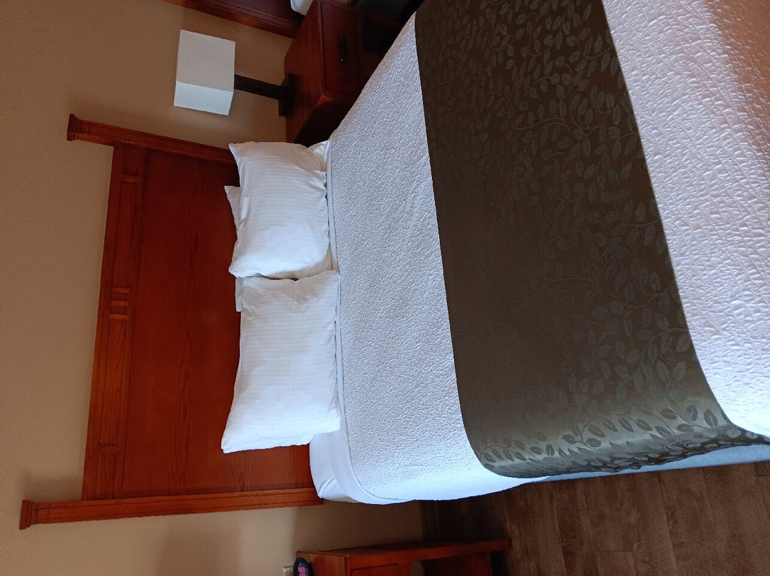 Best Western Plus Red River Inn主图