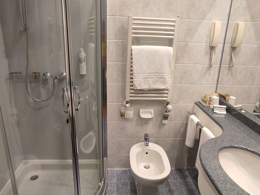 Best Western Air Hotel Linate主图