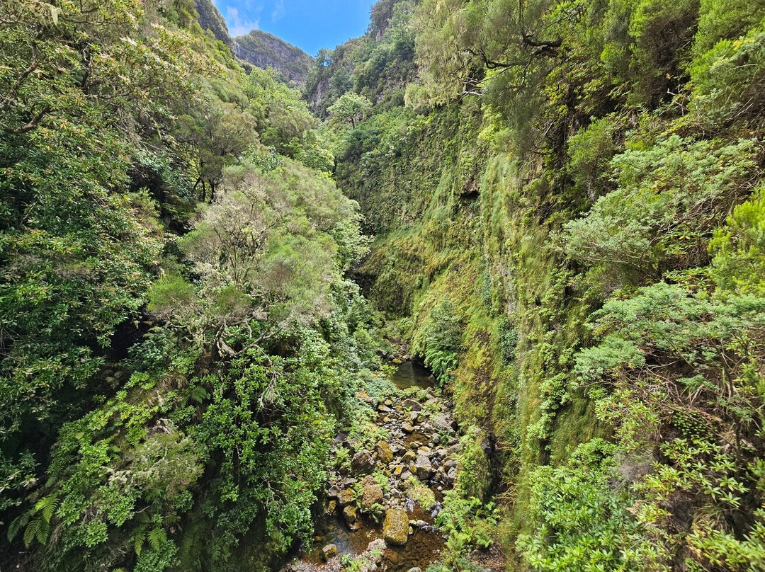 Madeira Adventure Kingdom-沙尔必去景点