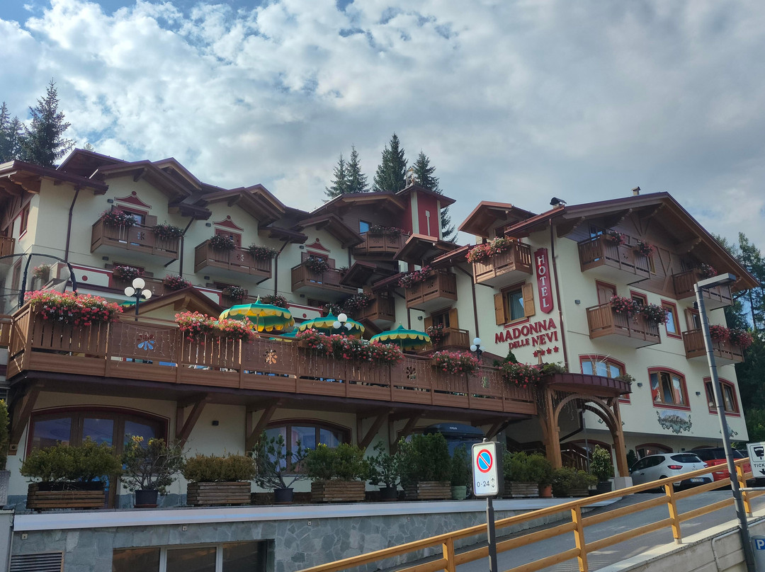 Wellness Hotel Madonna delle Nevi主图
