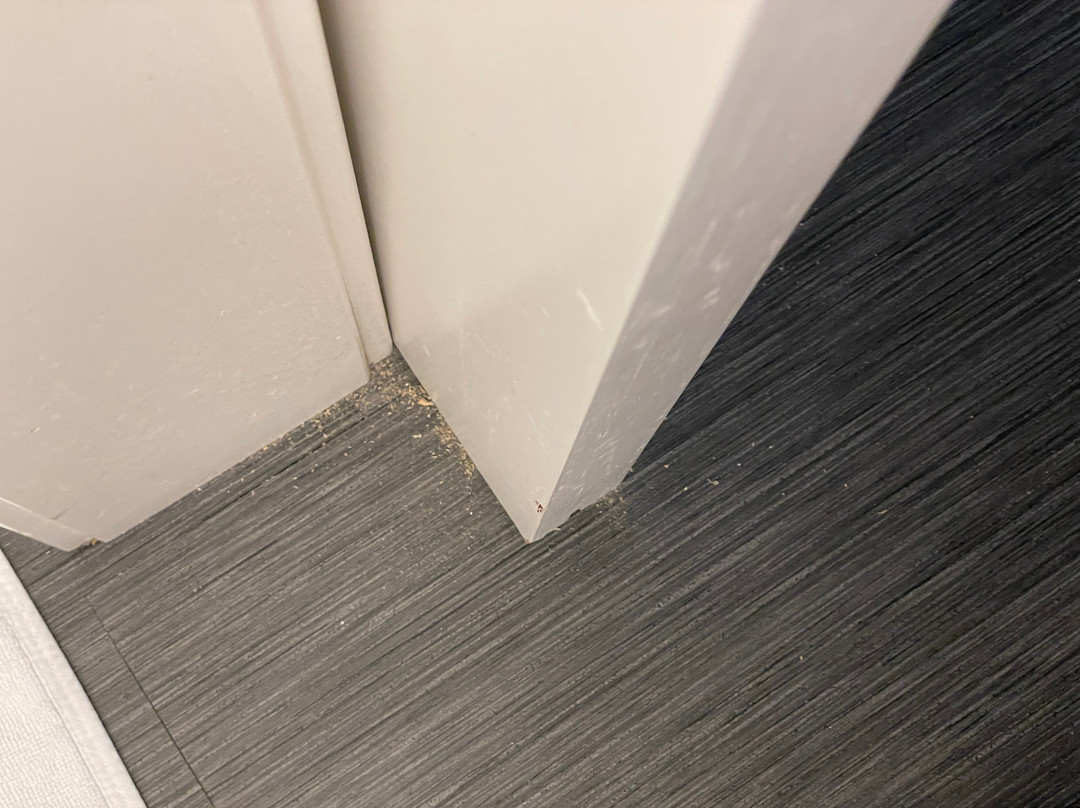 Holiday Inn & Suites Farmington Hills - Detroit Nw By IHG主图