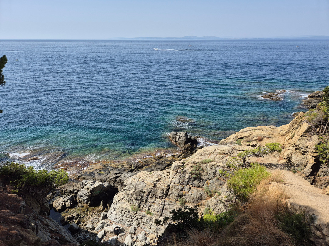 Plage Canyelles Petites景点图片