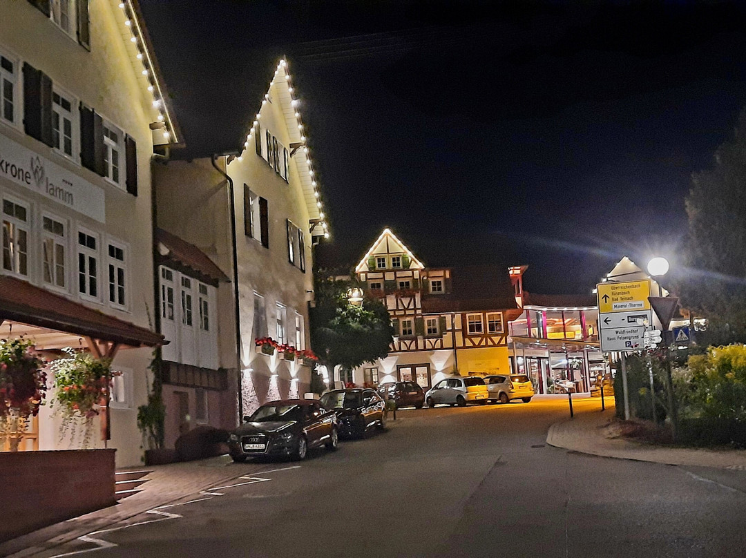 Hotel Kronelamm Im Schwarzwald主图