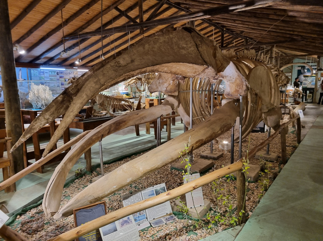 海洋博物馆-La Barra必去景点