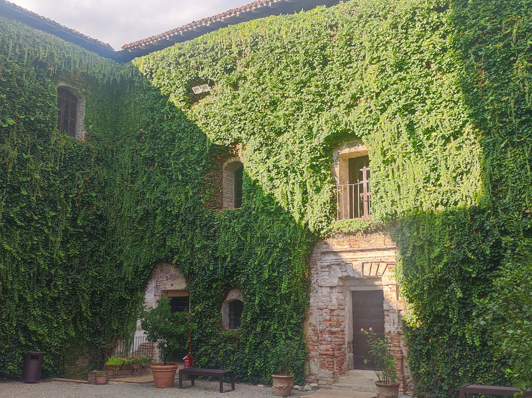 Castello di Roccabianca景点图片