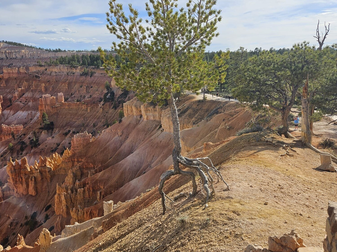 Rim Trail-布莱斯峡谷国家公园必去景点