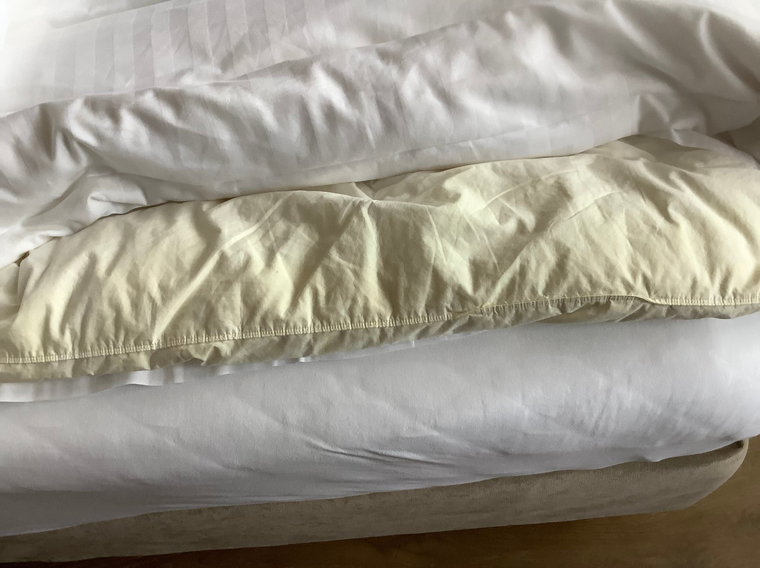 Elisabeth Hotel Premium Private Retreat主图