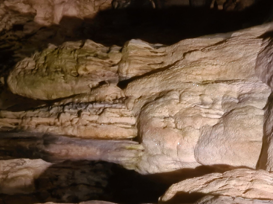 Grottes d'Osselle景点图片
