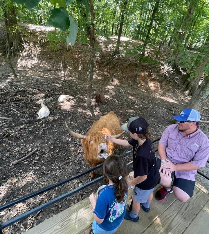 The Lazy 5 Ranch-穆尔斯维尔必去景点